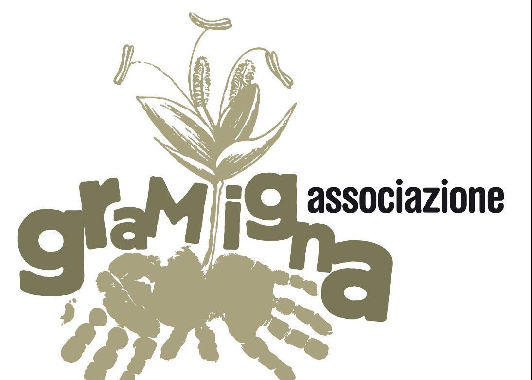 Al via la prima edizione della raccolta fondi “Sapori del Sannio”: si cercano volontari per il periodo natalizio