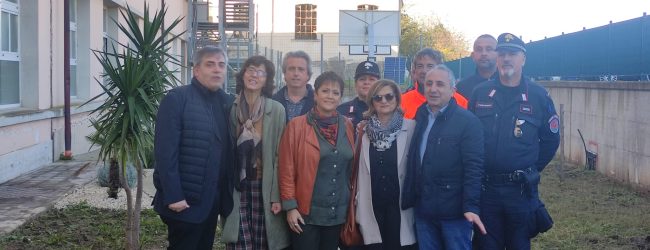 “Giornata dell’albero”, all’ITI Lucarelli piantate altre cinque nuove essenze