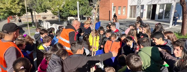 All’Istituto Comprensivo “Bosco Lucarelli” di Benevento  messi a dimora tre nuovi alberi