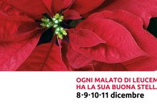 Nelle piazze sannite tornano le “Stelle di Natale” dell’AIL: appuntamento l’8,9, 10 e 11 dicembre