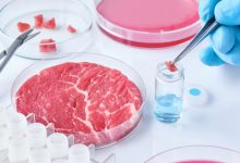 Cibo sintetico, il consiglio regionale della Campania vota no