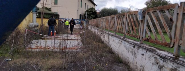 Tetra, il giorno dei confronti