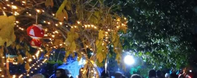 Benevento|Ottimo successo per il ‘Giardino del Natale’ alla Chiesa dell’Addolorata