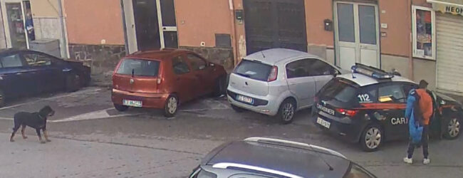 Baiano| Aizza un cane di grossa taglia contro i passanti e aggredisce i carabinieri, condannato 28enne