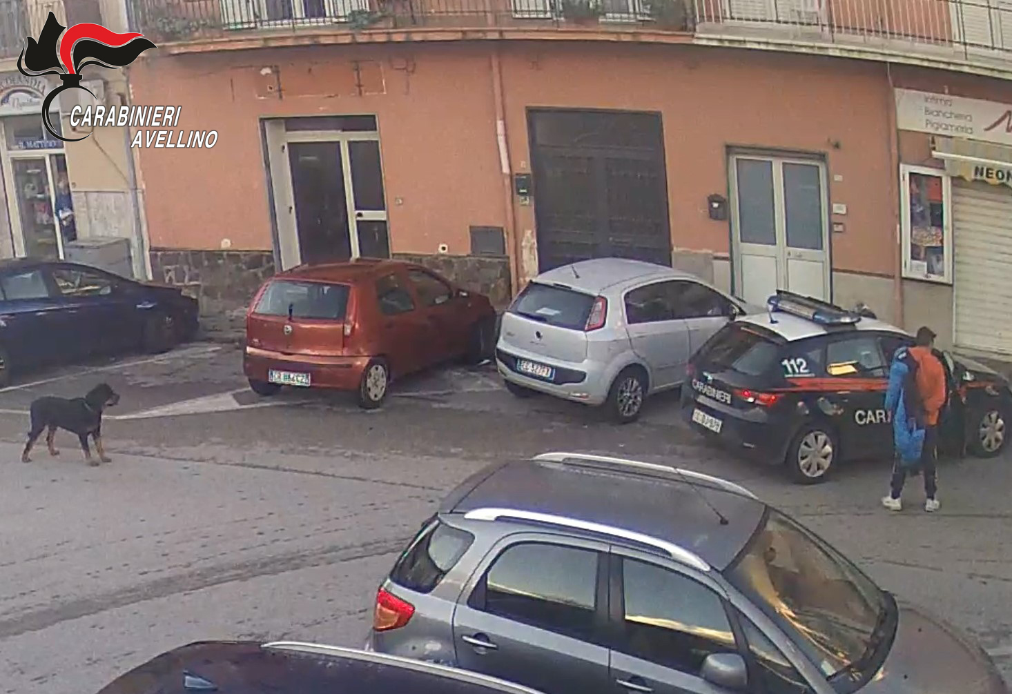 Baiano| Aizza un cane di grossa taglia contro i passanti e aggredisce i carabinieri, condannato 28enne