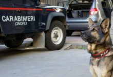 Ceppaloni, trovata in possesso di 40grammi di cocaina: arrestata 31enne