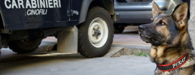 Ceppaloni, trovata in possesso di 40grammi di cocaina: arrestata 31enne