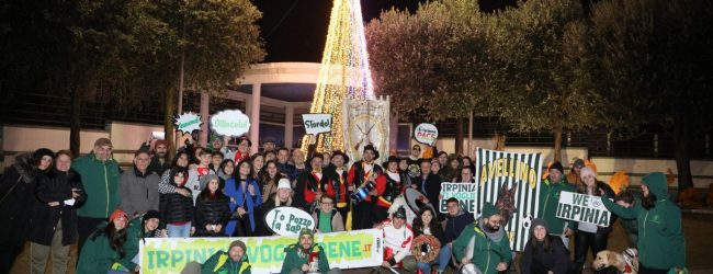 Avellino| Pino Irpino, albero piantato nella Villa di via Colombo. Oltre 100 quintali di alimenti raccolti