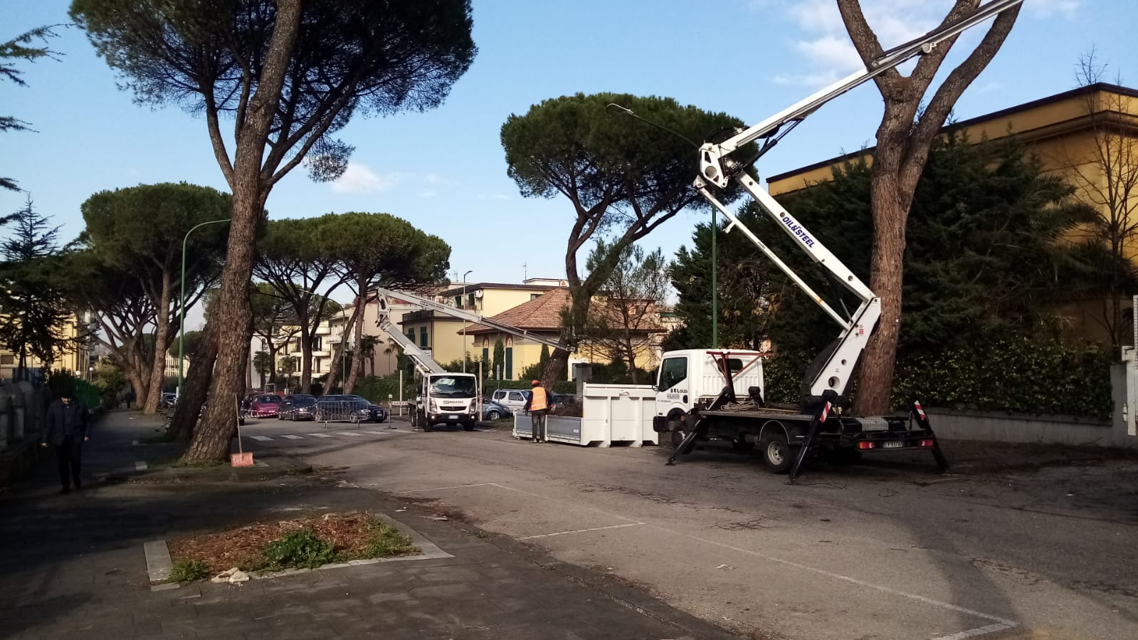 Benevento, al via la potatura delle essenze arboree colpite da cocciniglia tartaruga