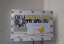 San Giorgio del Sannio| Fiori di memoria: I.C. Rita Levi Montalcini ha aderito al Progetto Crocus