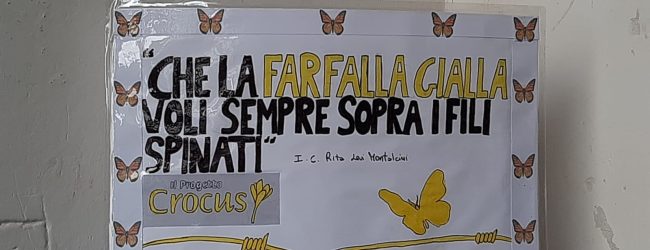 San Giorgio del Sannio| Fiori di memoria: I.C. Rita Levi Montalcini ha aderito al Progetto Crocus