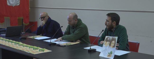 Avellino| Riparte il Pino Irpino, parte del raccolto destinato anche agli sfollati di Ischia