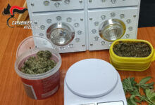 Avellino| Una piantina e 400 grammi di marijuana già essiccata in casa, 47enne ai domiciliari