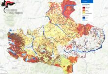 Avellino| Dissesto idrogeologico e abusivismo edilizio, l’azione dei Carabinieri Forestali