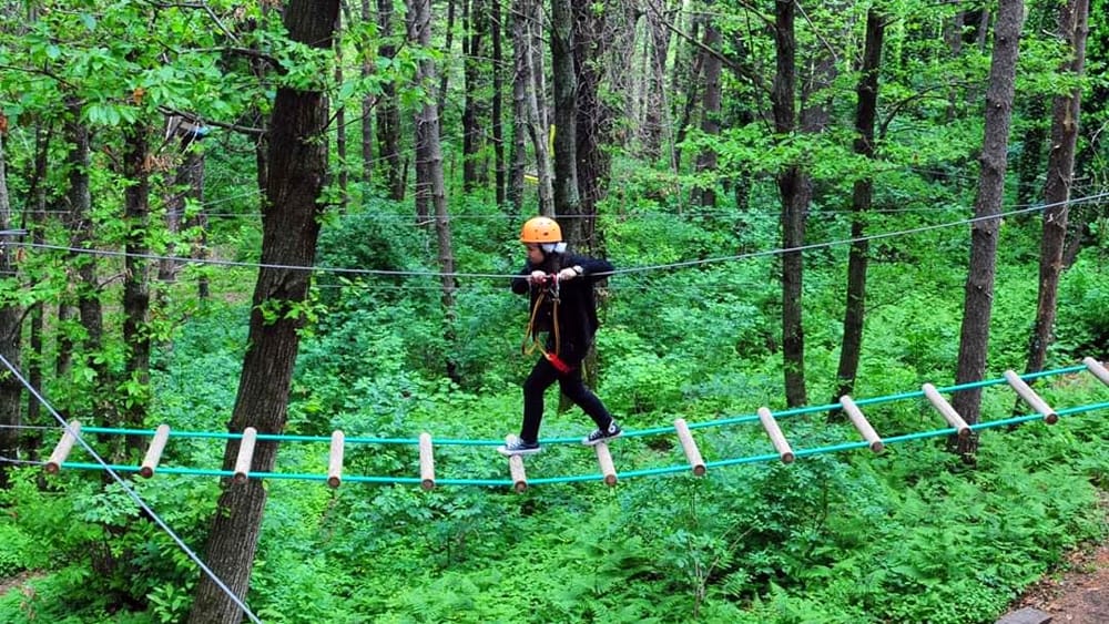 Gal Partenio, dal glamping al parco avventura: due milioni di euro dal Ministero del Turismo