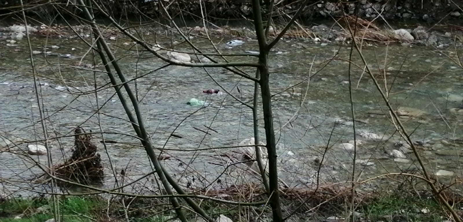 Frammenti di plastica e bottiglie finiscono nelle acque del Reinello