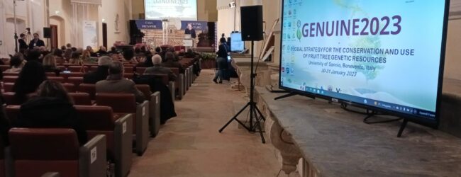 Benevento|’Genuine 2023′, confronto sugli alberi da frutto