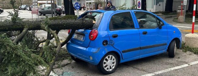 Maltempo in Irpinia, a San Tommaso e nel centro commerciale Famila alberi distruggono auto in sosta