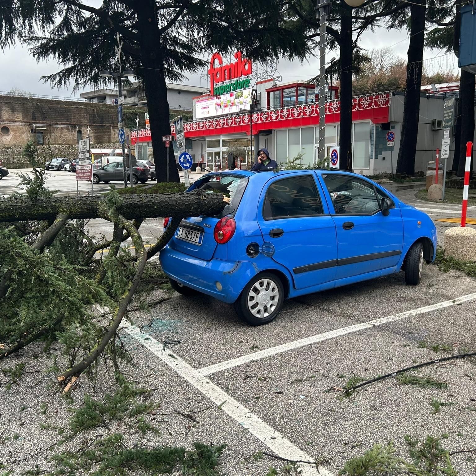 Maltempo in Irpinia, a San Tommaso e nel centro commerciale Famila alberi distruggono auto in sosta