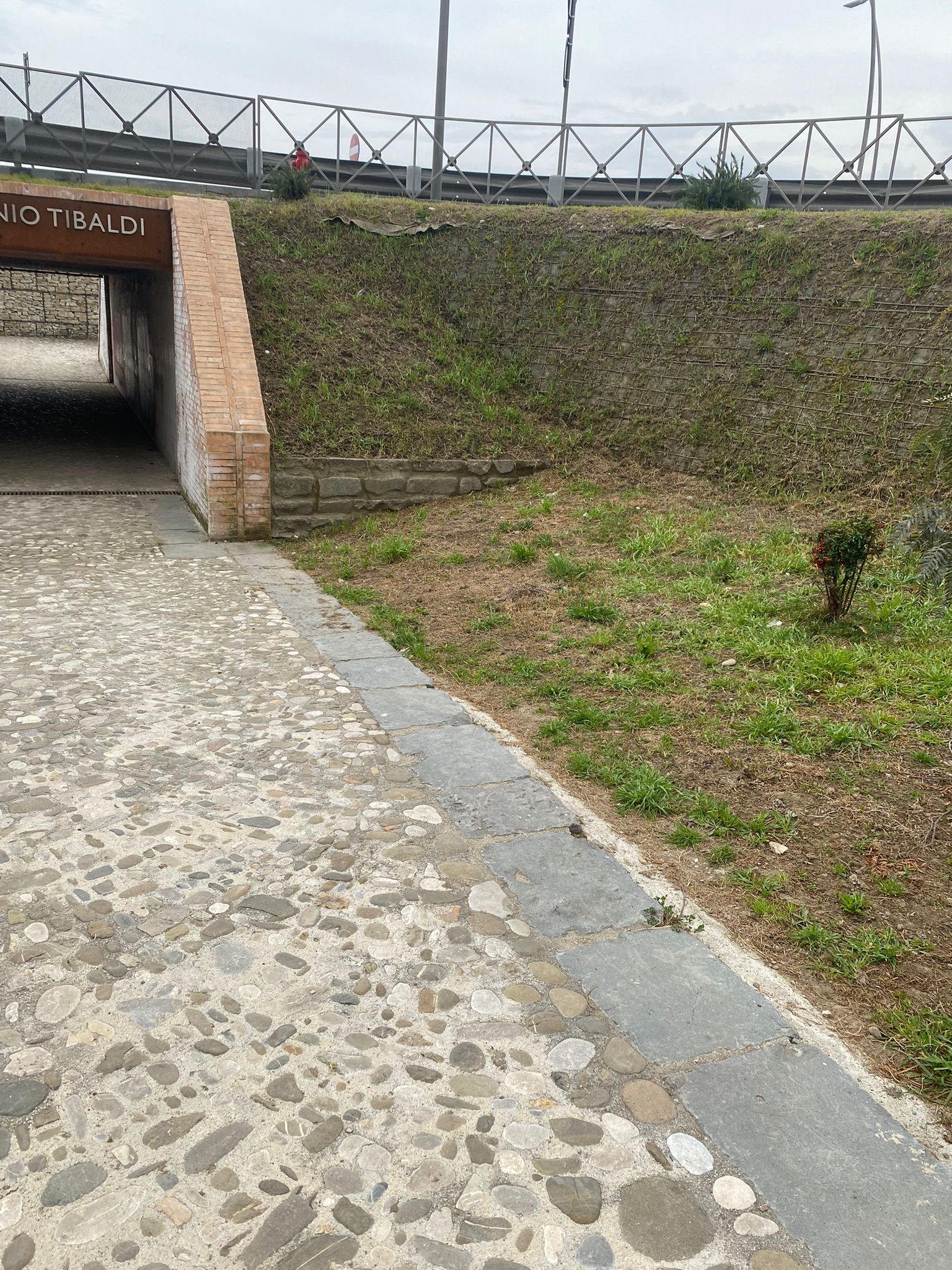 Ponte Tibaldi, Rosa: rimossi i rifiuti, appello alle coscienze per una città più pulita