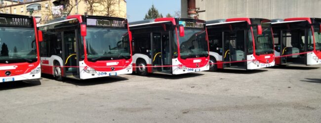Benevento, bus urbani gratuiti durante le feste di Natale. L’amministrazione: “così si riduce inquinamento”