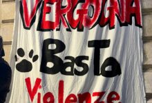 Benevento, oltre duecento firme contro la violenza sugli animali: gli attivisti continuano la battaglia