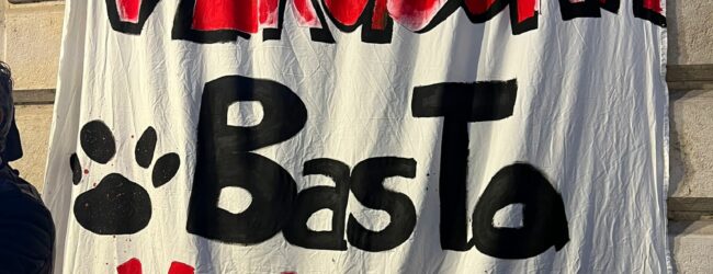 Benevento, oltre duecento firme contro la violenza sugli animali: gli attivisti continuano la battaglia