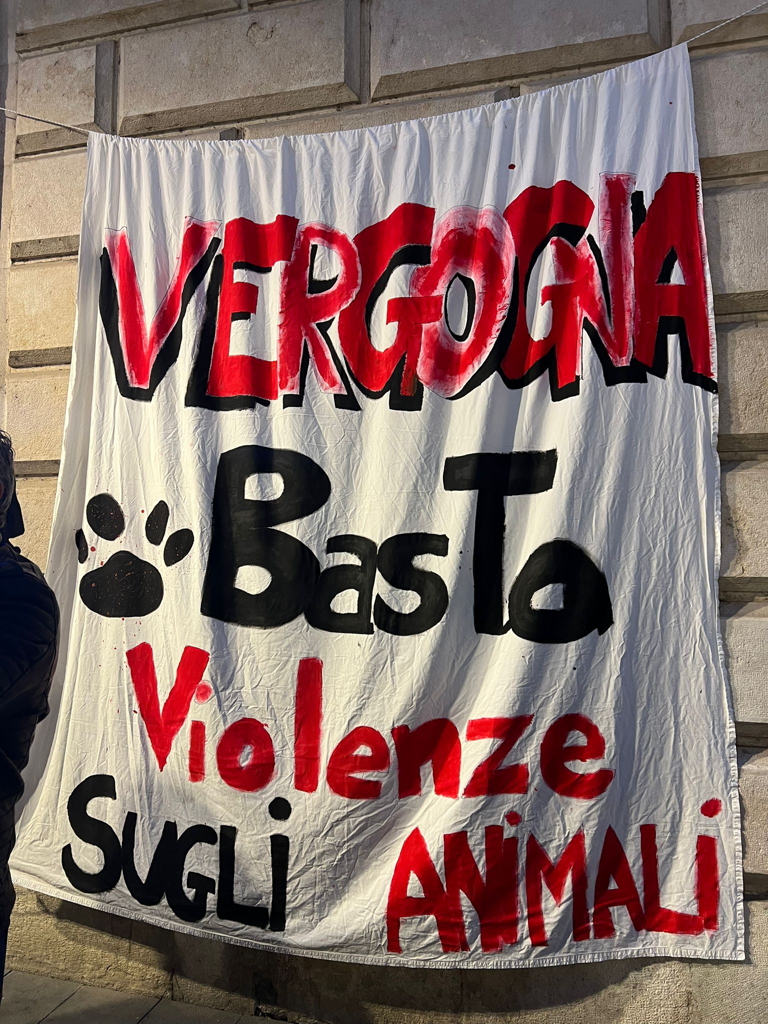 Benevento, oltre duecento firme contro la violenza sugli animali: gli attivisti continuano la battaglia