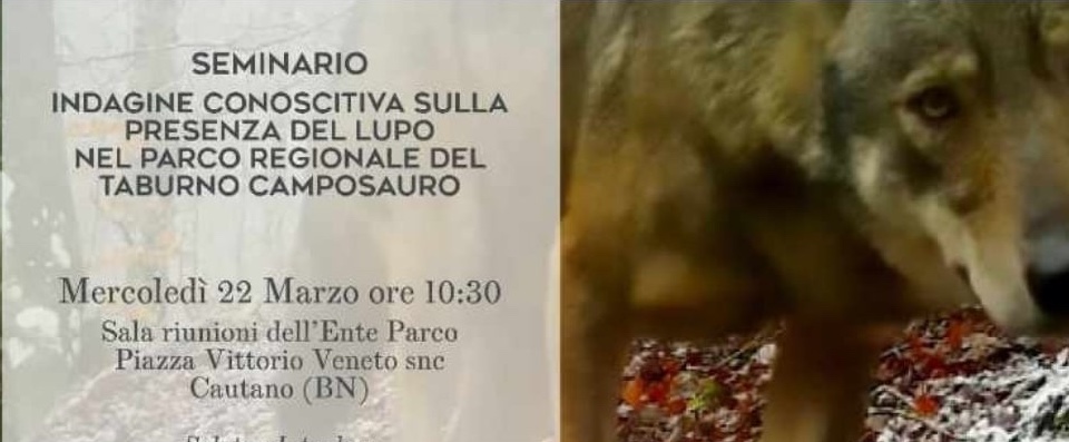 Presenza del lupo nel Parco del Taburno Camposauro: Seminario a Cautano