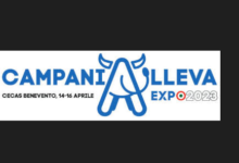 Campanialleva Expo 2023: in arrivo a Benevento la più grande fiera zootecnica del Sud dal 14 al 16 Aprile