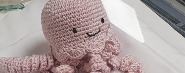 Octopus Therapy all’Utin dell’ospedale Fatebenefratelli di Benevento