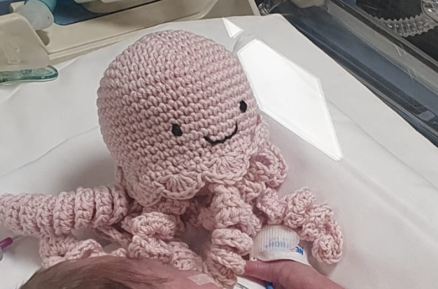 Octopus Therapy all’Utin dell’ospedale Fatebenefratelli di Benevento