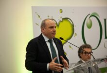 Olio Campania IGP, Raffaele Amore: “Inizia percorso di valorizzazione”