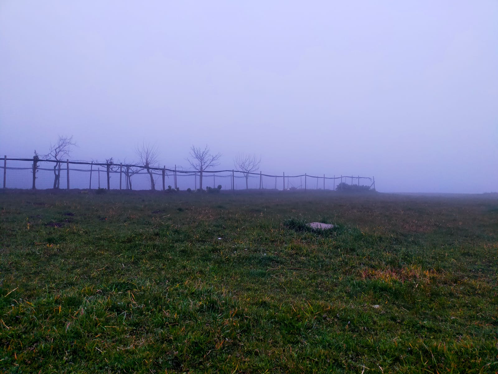 San Giorgio La Molara, incidente agricolo con motozappa: morto un 71enne