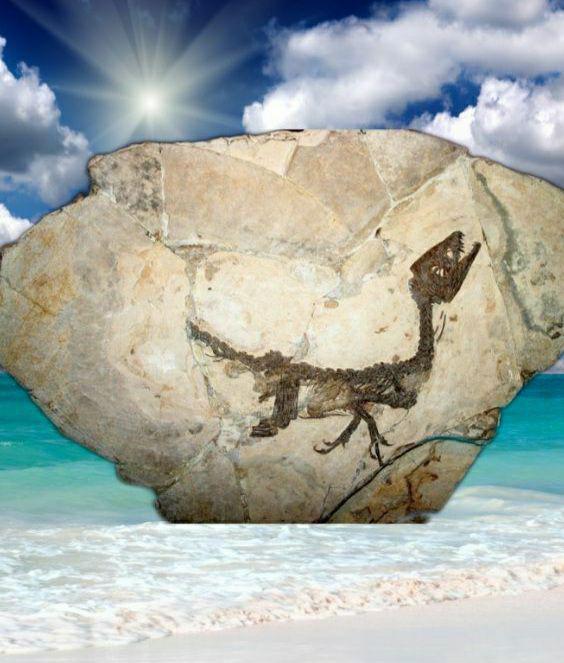 Il Dinosauro Ciro in mostra a Tokyo dal 16 marzo al 18 Giugno