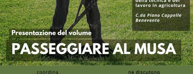 ‘Passeggiare al Musa’, si presenta il volume di Carmine Nardone