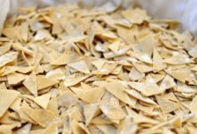 “Sagra di qualità”: riconosciute quella del “Cecatiello” di Paupisi e della “Paccozza” di Pesco Sannita