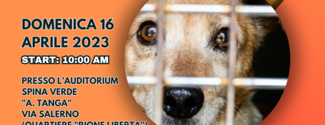 “Fenomenologia dei crimini a danno di animali”: domenica l’incontro con il criminologo Troiano