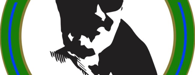 Calcio a 5, il post della Sandro Abate: “Episodio da condannare, dirigenti intervenuti prontamente”