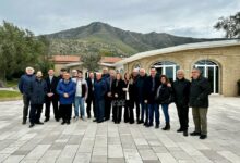 A San Prisco un incontro sull’Oliva Aitana del Tifata e la valorizzazione dell’Olio dei Monti Tifatini