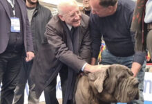 CampaniAlleva chiude con 150.000 presenze in tre giorni. De Luca: “La Vinitaly della zootecnica”