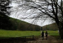 Parco Taburno Camposauro, domani la presentazione della “Carta dei Sentieri”
