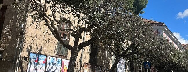 Benevento, in corso la potatura degli alberi e lo sfalcio delle erbe spontanee. Rosa: “Lavoriamo per una città sempre più bella”