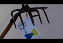 Da stasera rassegna documentari ad Aquilonia su architetture e aree interne