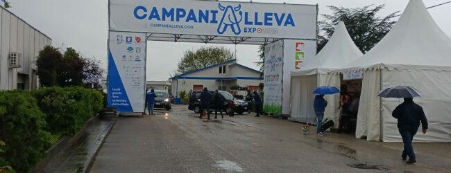 L’Atc di Benevento sarà presente a CampaniAlleva