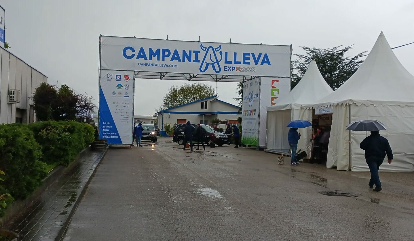 L’Atc di Benevento sarà presente a CampaniAlleva