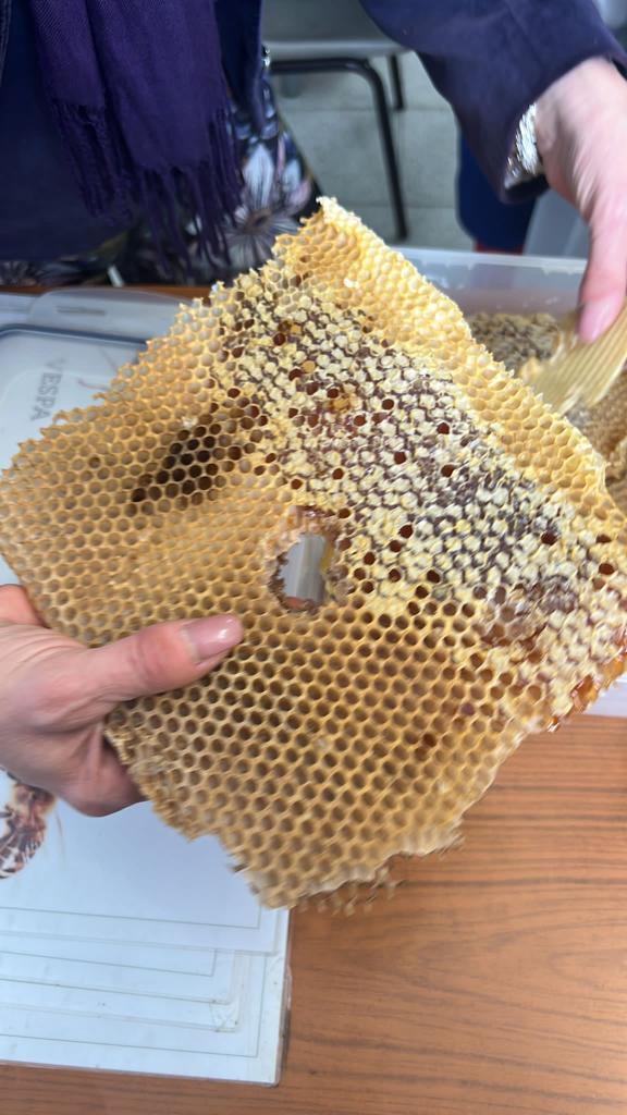 “Salviamo le api e salveremo il mondo”