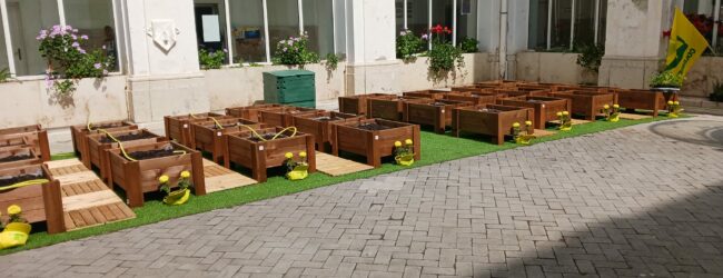 Al Convitto Giannone di Benevento nasce l’orto circolare a cura dei piccoli alunni