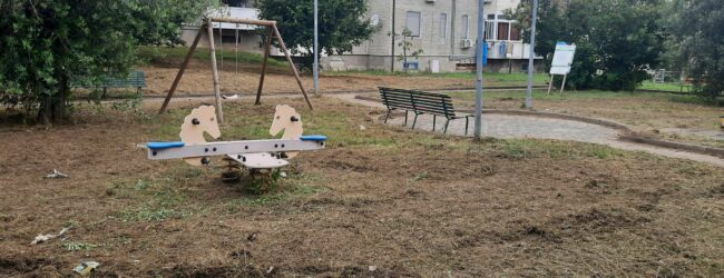 Verde pubblico, continua l’attività di sfalcio dell’erba. Rosa: “In pochi giorni termineremo in tutta la città”