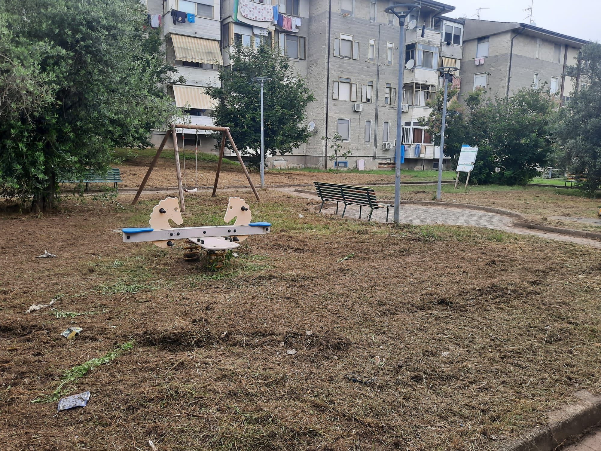 Verde pubblico, continua l’attività di sfalcio dell’erba. Rosa: “In pochi giorni termineremo in tutta la città”